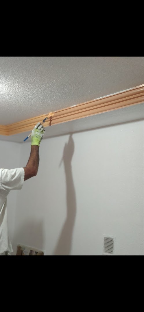 Decoraciones y Pinturas Andreu García — Fotos 9
